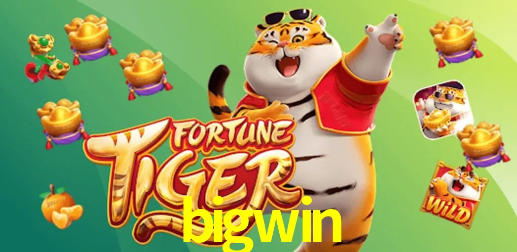 Sports Statistics bigwin