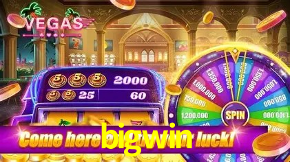Security Systems bigwin
