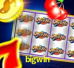 Programa VIP bigwin