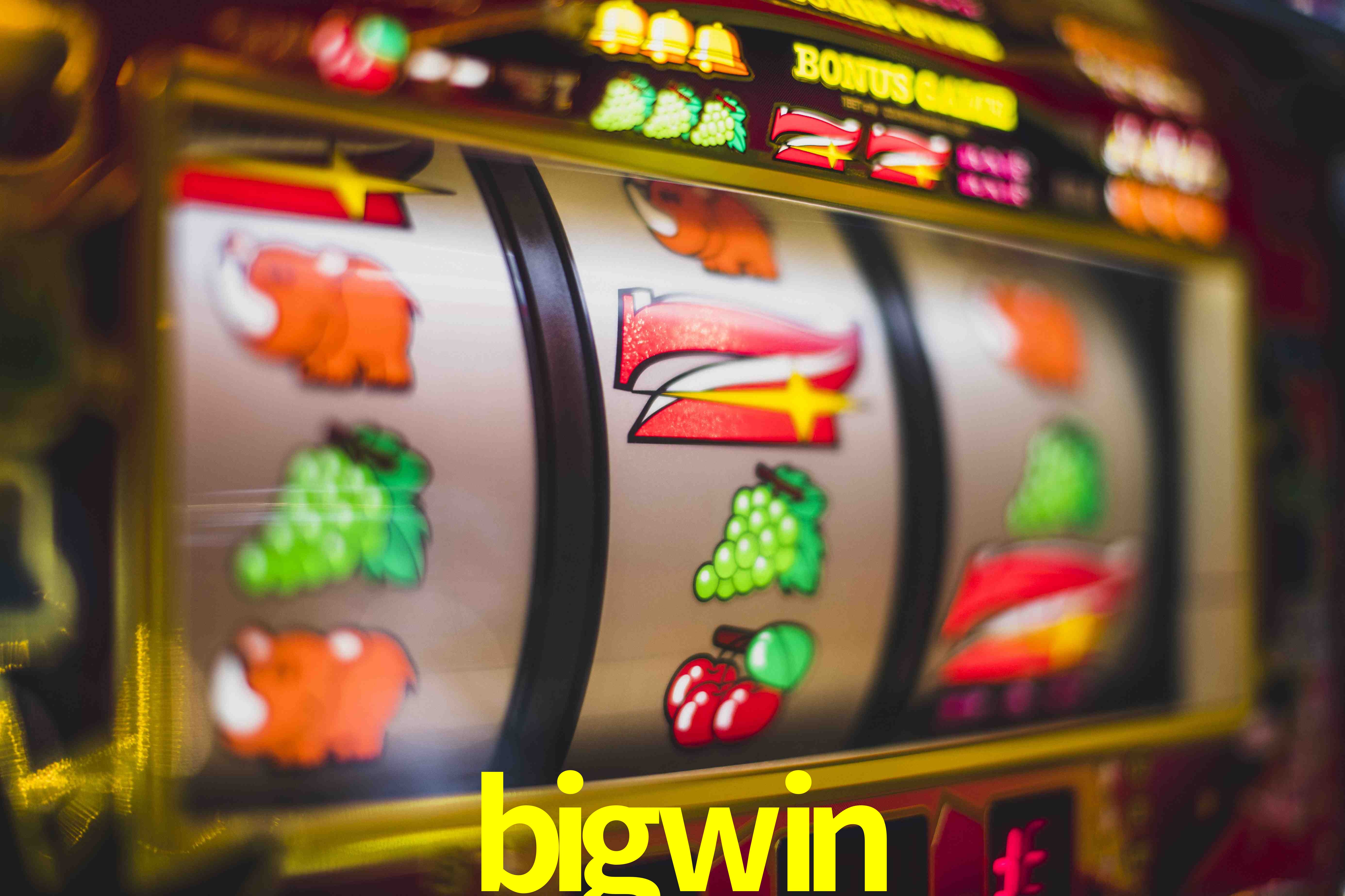 VIP Casino bigwin